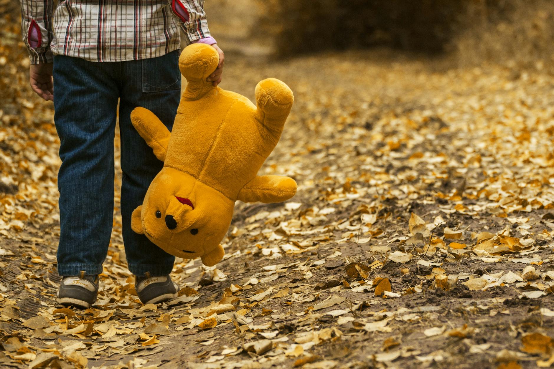 boy carrying bear plush toy